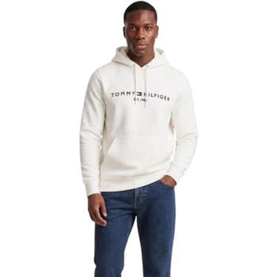 Capuchon sweaters Tommy Hilfiger TOMMY LOGO MW0MW11599
