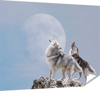 Gards Tuinposter Twee Wolven Die Huilen tijdens Volle Maan - 160x120 cm - Tuindoek - Tuindecoratie - Wanddecoratie buiten - Tuinschilderij