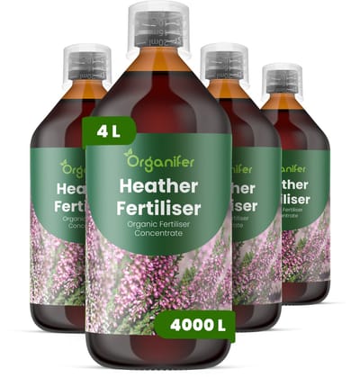 Vloeibare Meststof Voor Heiderplant 4X1 L Voor 4000 L - Npk 2-1-8 - Sterke Groei - Vochtregulatie - Verbetert Bloemrijkheid - Kleurintensiteit En Seizoensbloei - Ondersteunt Een Gezonde Zuurgraad Van De Bodem - Organifer