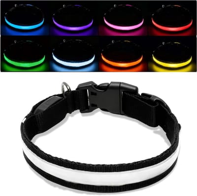 Verlichte Hondenhalsband - Waterdichte LED Halsband voor Kleine en Middelgrote Honden - Verstelbaar met 3 Flitsmodi en Oplaadbare USB Functie