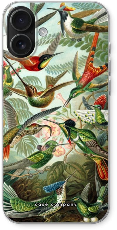 Case Company® - Hoesje geschikt voor iPhone 16 Plus hoesje - Haeckel Trochilidae - Soft Cover Telefoonhoesje - Bescherming aan alle Kanten en Schermrand