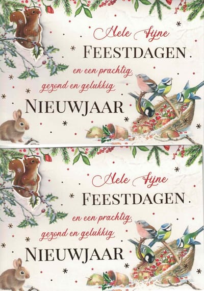 10 Kerstkaarten - handgemaakte kerstkaarten - wenskaart - set van 10 - luxe kerstkaarten - nostalgische kerstkaarten - kerst en nieuwjaarskaarten - prettige kerstdagen - fijne kerstdagen