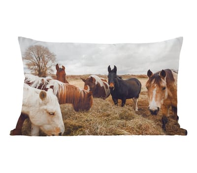 Sierkussens - Kussentjes Woonkamer - 50x30 cm - Dieren - Paard - Paarden