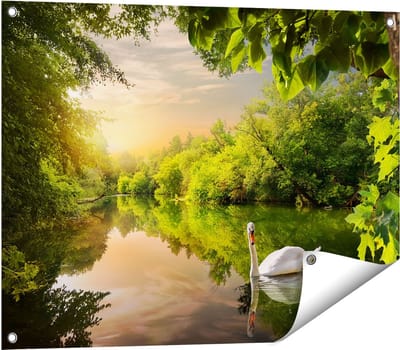 Gards Tuinposter Zwaan op het Water in het Bos - 80x60 cm - Tuindoek - Tuindecoratie - Wanddecoratie buiten - Tuinschilderij