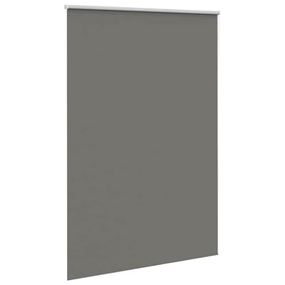 vidaXL - Rolgordijn - verduisterend - 160x210 - cm - stofbreedte - 156,6 - cm - grijs