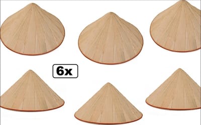 6x Chinese strohoed - landen china chinees hoofd deksel