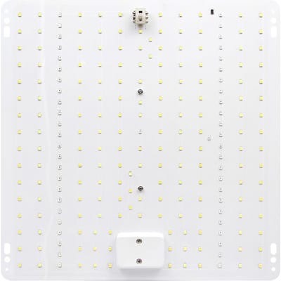 Volledig Spectrum LED Plantengroeilamp Thuis Succulent Kleur Binnen Groene Plant Bloem Zaailing US Small