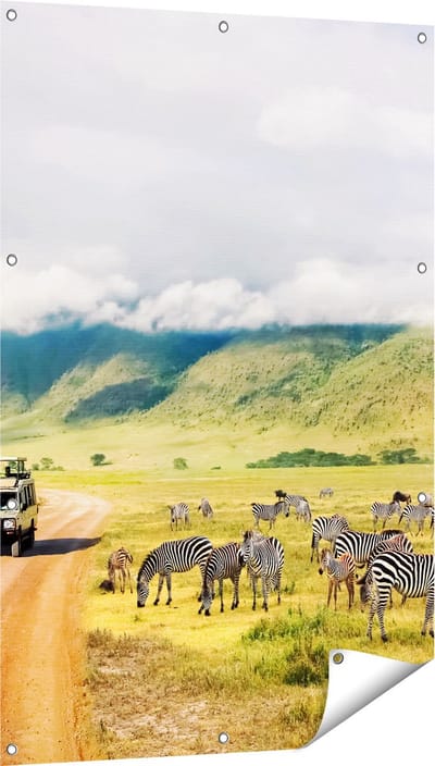 Gards Tuinposter Safari Auto tussen de Zebra's - 80x120 cm - Tuindoek - Tuindecoratie - Wanddecoratie buiten - Tuinschilderij