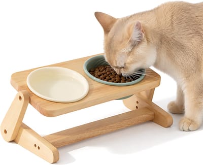 Verstelbare Keramische Kattenvoerbak met Houten Standaard - Ergonomische Voer en Drinkbak Kat - Dubbele Kattenkom 2x 600ml - Anti-Braak & Nekbescherming - Off-White & Lichtgroen