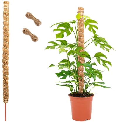 Plantenstaaf, klimhulp, kamerplanten, 120 cm, kokosstaaf, plantensteun, Monstera Moss Polen, flexibele mosstokken voor planten, mosstaaf, buigbaar met 2 m jute touw, klimplanten