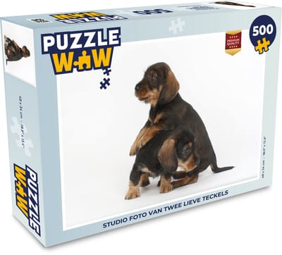 Puzzel Studio foto van twee lieve Teckels - Legpuzzel - Puzzel 500 stukjes