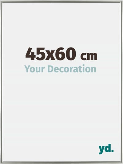 Your Decoration - Fotolijst 45x60 cm - Kunststof - Champagne - Evry
