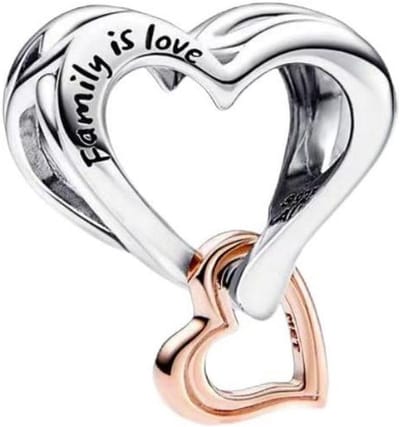 Familie Bedelhanger 925 Sterling Zilver - Dierenthema Bedel voor Pandora Stijl Armbanden