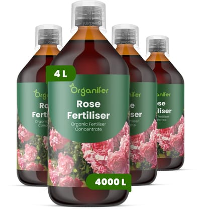 Vloeibare Meststof Voor Rozen 4X1 L Voor 4000 L - Npk 3-4-3 - Ondersteunt Krachtige Groei En Continue Bloei Bij Rozen - Stimuleert Knopvorming En Grotere Bloemen - Verbetert Bloemkleurintensiteit En Verlengt De Bloeiduur - Organifer
