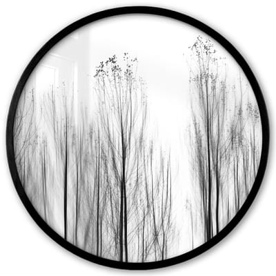 Poster in lijst Rond - Fotolijst 40x40 cm - Posters - Bomen - Zwart wit - Vogels - Natuur - Ronde posterlijst zwart - Decoratie - Wanddecoratie woonkamer - Muurdecoratie slaapkamer