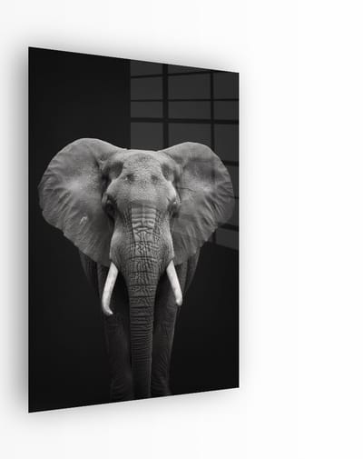 Indoorart - Glasschilderij Olifant Zwart Wit 40x60 CM - Afbeelding op plexiglas - Inclusief montagemateriaal