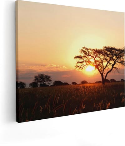 Artaza Canvas Schilderij Boom Afrika - 50x40 cm - Muurdecoratie Zonsondergang - Wanddecoratie Natuur - Kamer Accessoires