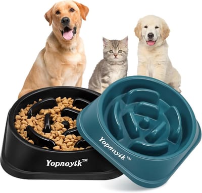 2 stuks slow feeder voerbakken voor honden en katten - anti-slip, anti-verstikkingsontwerp, voor kleine en middelgrote huisdieren