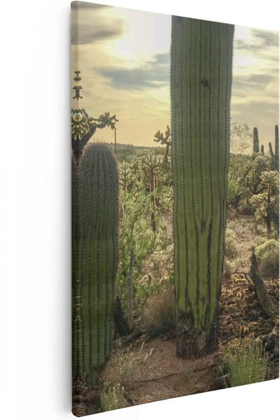 Artaza Canvas Schilderij Saguaro Woestijn - 20x30 cm - Klein - Wanddecoratie Landschap - Muurdecoratie Botanisch - Kamer Accessoires