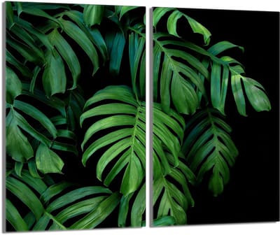 TMK ArtDeko Monstera Serie - Beschermglasplaat voor Fornuis - 2x30x52cm - Gehard Glas