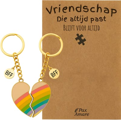 BFF Sleutelhanger voor 2 'Vriendschap die altijd past' - Magnetisch Regenboog Hartje - Sleutelhanger set op Cadeau Kaartje - Goudkleurig - Vriendschap Symbool - Pax Amare
