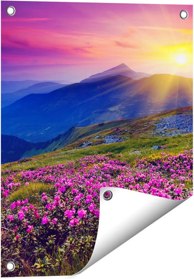 Gards Tuinposter Roze Rhododendron Bloemenveld - Bergen - 40x50 cm - Tuindoek - Tuindecoratie - Wanddecoratie buiten - Tuinschilderij