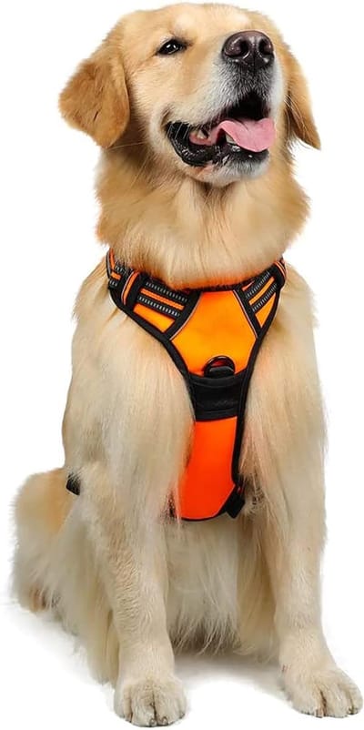 hondenharnas, ook geschikt voor puppy‘s, verstelbaar borsttuig voor honden, onbreekbaar, ademend hondentuig voor kleine, middelgrote en grote honden, verkrijgbaar in zwart, roze en blauw in de maten S, M, L en XL, l, oranje