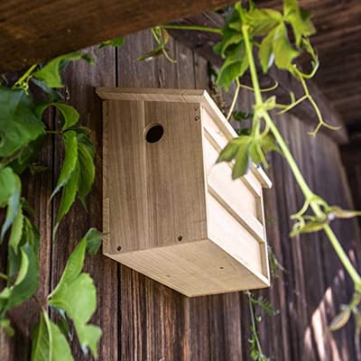 Nestkast met Twee Kamers voor Vogels - Ideaal voor Koloniebroeders