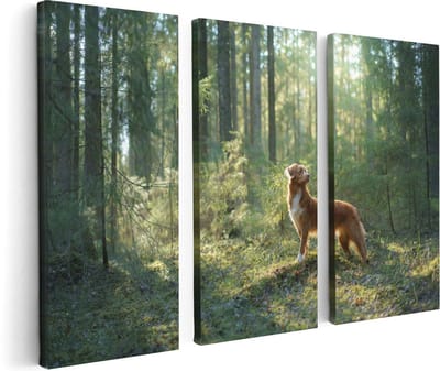 Artaza Canvas Schilderij Drieluik Retriever Hond In Het Bos Met Zon - 120x80 - Foto Op Canvas - Canvas Print