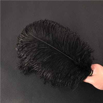 Dailygoods- Struisveren 40-45 cm - 10 Stuks - Natuurlijke Knutselveren - Dromenvanger Accessoires - Huisdecoratie - Kostuumdecoratie