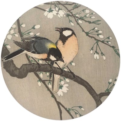 Plexiglasschilderij Ohara Koson Koolmezen op bloesemtak - Ø 70 - Acrylglas - REINDERS