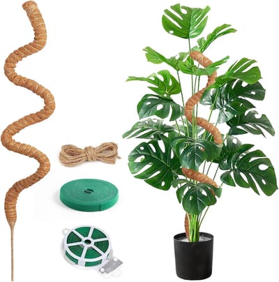 125 cm Mosstick voor Monstera met Accessoires - Ondersteuning voor Binnenplanten, Klimplanten en Groene Huishouddecoratie