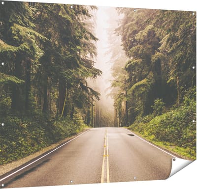 Gards Tuinposter Highway in Californië Omring met Bos - 150x120 cm - Tuindoek - Tuindecoratie - Wanddecoratie buiten - Tuinschilderij