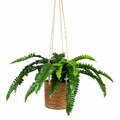 Kunstplant Nephrolepis/Varen in hangmand naturel L100cm