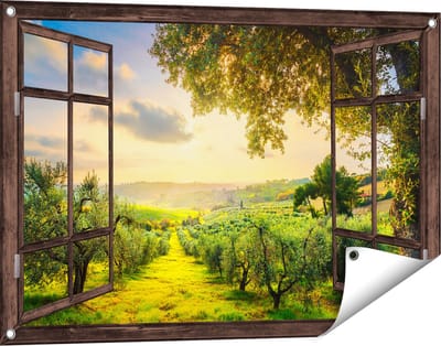 Gards Tuinposter Doorkijk Olijvenbomen - Olijvengaard - 90x60 cm - Tuindoek - Tuindecoratie - Wanddecoratie buiten - Tuinschilderij