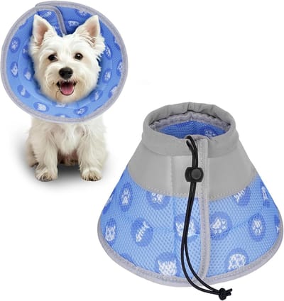 halsband voor kat, Elisabeth kat, beschermende halsband voor katten, kittens puppy's na de operatie om het likken van wonden te stoppen (blauw, L)
