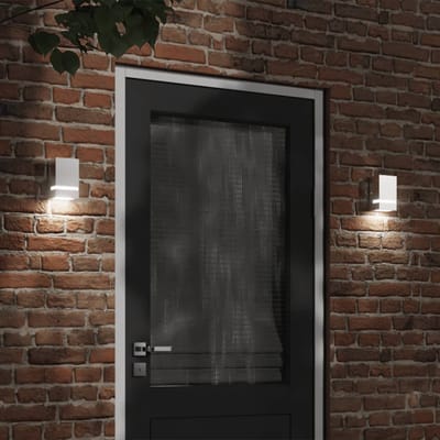 vidaXL Buitenwandlamp roestvrij staal zilverkleurig
