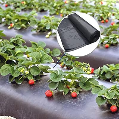 Zwaar onkruidzeil 2 m breed, 15 m lang - UV-bestendige, scheurvaste mulchfolie voor tuin - 30 m² onkruidbescherming