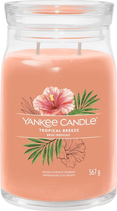 Yankee Candle - Tropical Breeze Large Jar Geurkaars - 90 branduren - twee lonten