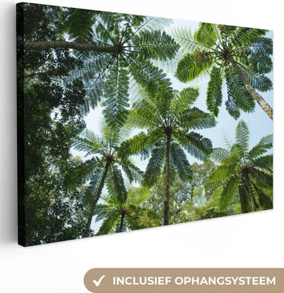 Canvas Schilderij Bomen en bladeren in jungle - 90x60 cm - Wanddecoratie