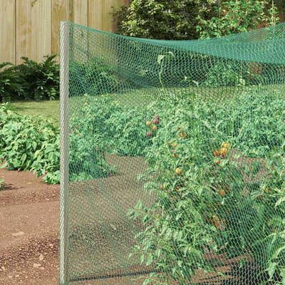 vidaXL Vogel Beschermnet Groen 4 x 25 m Polyetheen