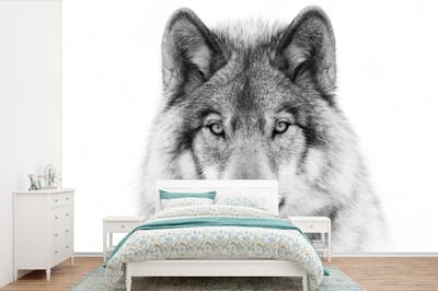 Behang - Fotobehang Wolf - Dieren - Portret - Wit - Breedte 360 cm x hoogte 240 cm