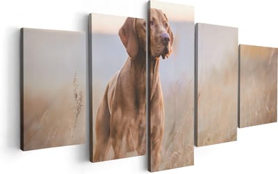 Artaza Canvas Schilderij Vijfluik Hongaarse Vizsla Hond In Het Gras - 100x50 cm - Wanddecoratie Woonkamer - Schilderijen - Muurdecoratie