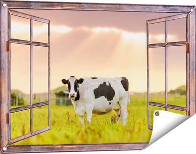 Gards Tuinposter Doorkijk Zwart Wit Koe in de Wei bij Zonsopkomst - 90x60 cm - Tuindoek - Tuindecoratie - Wanddecoratie buiten - Tuinschilderij