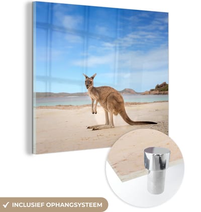 MuchoWow® Glasschilderij 50x50 cm - Schilderij acrylglas - Strand - Kangoeroe - Australië - Foto op glas - Muurdecoratie woonkamer - Wanddecoratie slaapkamer - Schilderijen