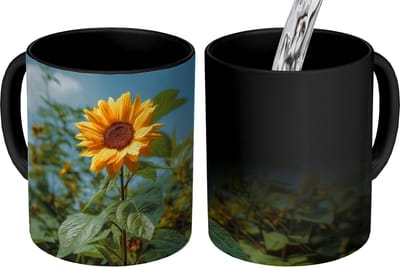 Magische Mok - Foto op Warmte Mokken - Koffiemok - Zonnebloemen - Helderblauwer lucht - Gras - Magic Mok - Beker - 350 ML - Theemok