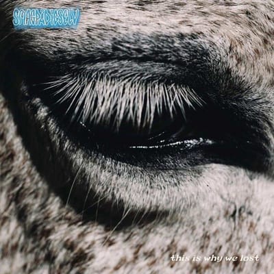 Smag Pa Dig Selv - This Is Why We Lost (LP)
