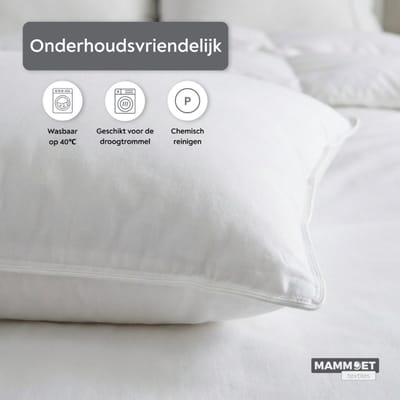 Mammoet Hoofdkussen Dream 60 x 70 cm – 100% katoen – microfiber vulling – hypoallergeen – vlamvertragend – wit