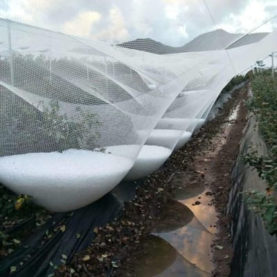 Tuinvogelgaas - Beschermnet Gewas - Bescherming Planten - Herbruikbaar Weerbestendig - 0.8cm Maaswijdte - Wit