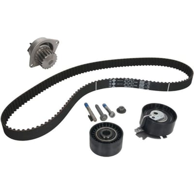 Schaeffler Ina Waterpomp+distributieriem set INA 530 0379 30